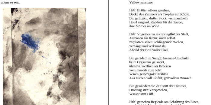 Erstellung Buchblock bebildertes Autoren-Manuskript